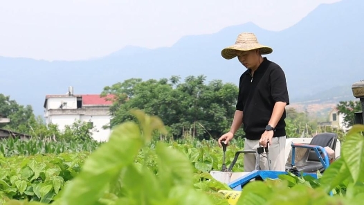 新華視點｜汗水澆灌收獲 勞動托舉夢想——解碼“勞有所得”的民生實踐